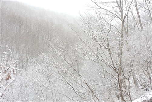 조계산 설경 